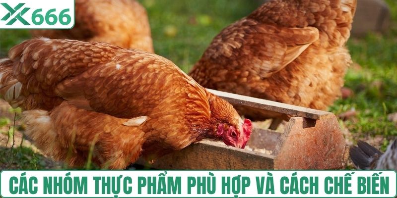 Các nhóm thực phẩm phù hợp và cách chế biến 
