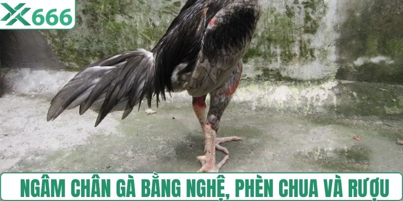 Ngâm chân gà bằng nghệ, phèn chua và rượu 
