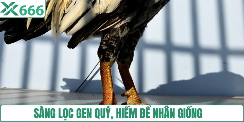 Sàng lọc gen quý, hiếm để nhân giống 